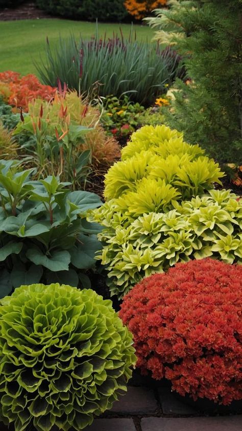 Discover stunning fall garden ideas with a blend of vegetables party wedding aesthetics and Zone 7 planting Explore unique planting ideas for vegetable zones 6 9 and Flag Enhance your outdoor space with design inspiration from Zone 6 Zone 9b Landscaping California, Zone 3 Landscaping, Zone 8b Landscaping, Zone 4 Landscaping, Zone 6 Landscaping, Zone 8 Landscaping, Fall Planting Perennials, Fall Garden Ideas, Autumn Gardening