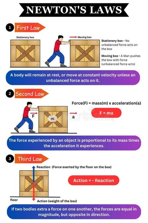 Physics Illustration, Newton First Law, Newtons Third Law Of Motion Examples, Newtons 2nd Law Of Motion, Newton's Second Law Of Motion, Newton's Third Law, Newtons Laws, Science Illustration, Learning Science