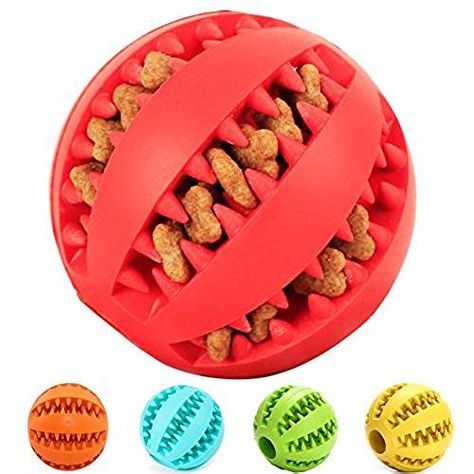 Best Puppy Toys, Puzzles For Dogs, Puppy Teething Toys, Dog Toys For Boredom, Toys For Pets, West Paw, Dog Puzzle Toys, Puppy Teething, Dog Toothbrush