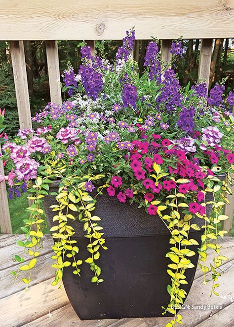 Mixed Flower Pots, Patio Flower Pots, Patio Container Gardening, Summer Planter, Porch Plants, Patio Flowers, Porch Flowers, Container Garden Design, Potted Plants Outdoor