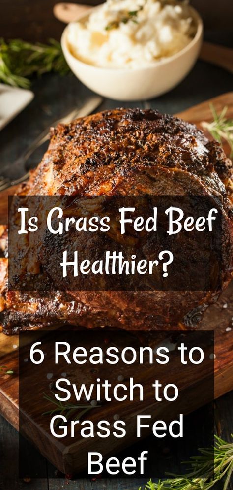 Why is grass fed beef healthy? Here are six reasons you should switch to grass fed beef. #grassfedbeef #healthyeating #healthyliving #healthydiet #realfood | oursmallhours.com Grass Fed Beef Benefits, Ra Diet, Grass Fed Beef Recipes, Healthy Beef Recipes, Keto Beef Recipes, Healthy Beef, Homemade Beef, Grass Fed Beef, Food Source