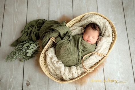 Newborn Photo Moses Basket, Moses Basket Pictures, Newborn Pictures In Basket, Newborn In Moses Basket, New Born Pictures Baby Boy, Basket Baby Photoshoot, Newborn Photography In Basket, Newborn Photos In Basket, Earthy Newborn Photography