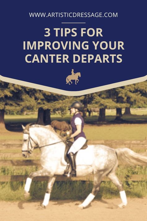 Horse Training Ground Work, Dressage Exercises, Dressage Training, Horse Exercises, Care Management, Trust In Relationships, Western Riding, How To Improve Relationship, Equestrian Life