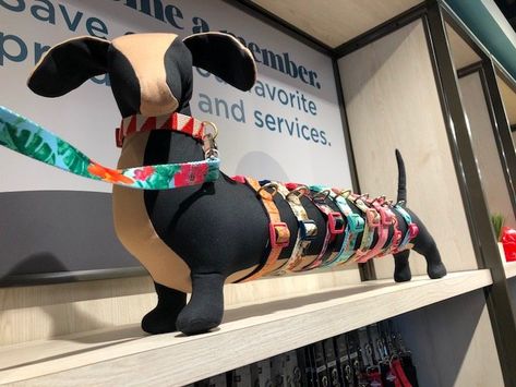 Dachshund Collar, Dog Collar Display, Collar Display, Dog Grooming Salon Decor, Dog Boutique Ideas, Pet Store Display, Dog Boarding Ideas, Pet Store Design, Pet Store Ideas