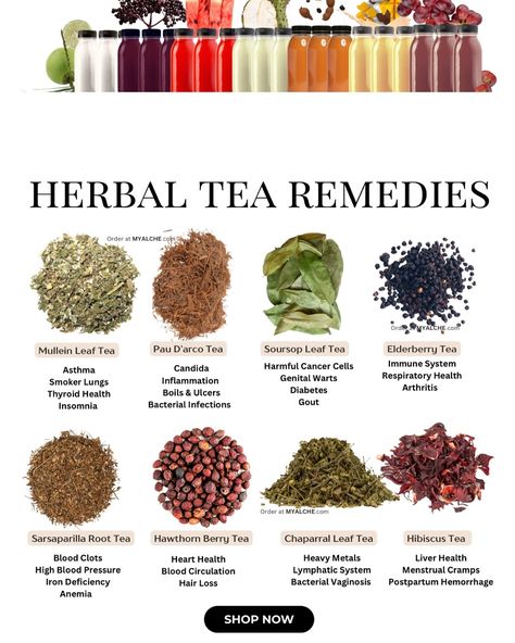 @MYALCHE Natural, Herbal Tea Remedies🫖 Shop at MYALCHE.com Medicinal Teas Recipes, Natural Tea Recipes, Healthy Herbal Teas, Healing Teas Natural Remedies, Herbal Tea Remedies, Herbal Tea Recipes, Herbal Tea Benefits, Tea Remedies, Teas Recipes