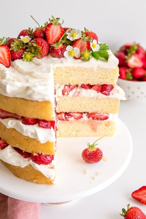 Angled cross section of a strawberry shortcake cake showing the layers. Slice Of Cake Aesthetic, Cake Slice Aesthetic, Strawberry Shortcake Slice, Strawberry Cake Slice, Cake On A Plate, Sliced Cake, Mousse Au Chocolat Torte, Cake With Strawberries, Slice Cake