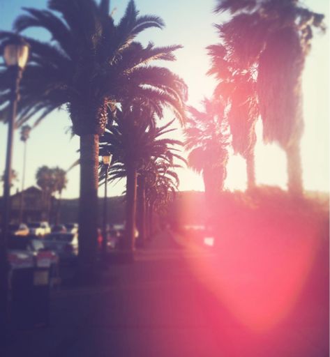 California Palm Trees photography summer palm trees california summer photography Tumblr Girly Aesthetic, Tumblr Girly Aesthetic 2013, 2014 Aesthetic, 2014 Vibes, Summer Tumblr, Tumblr Era, 2010s Aesthetic, California Palm Trees, 2014 Tumblr