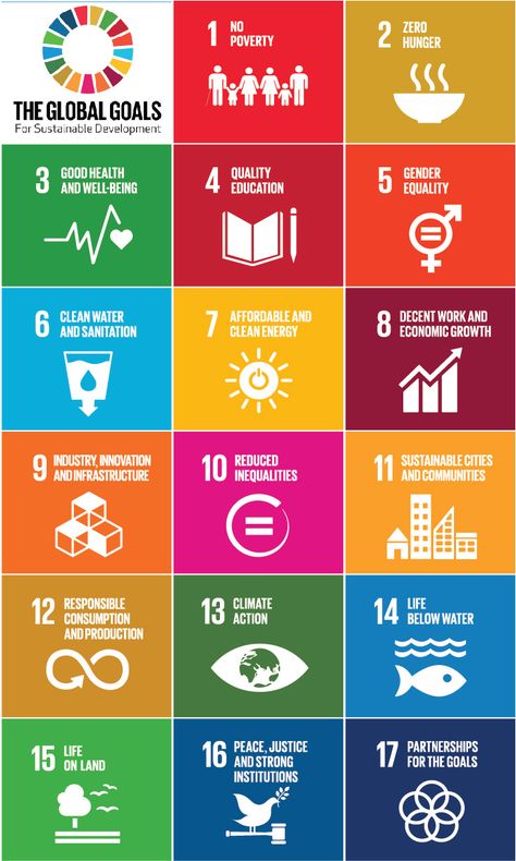 Sustainable Development Design, Sdgs Goals, Sustainable Development Projects, United Nations Organization, Poverty And Hunger, Ap Spanish, Un Sustainable Development Goals, Sustainable City, Social Media Analytics