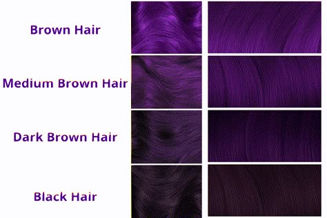 Colors To Dye Dark Brown Hair Without Bleach, Purple Dye On Dark Hair, Hair Color Ideas For Dark Hair Ombre, Hair Colours Without Bleaching, Colors To Dye Brown Hair Without Bleach, Black Violet Hair Color, Purple Hair Dye For Dark Hair, Purple On Dark Hair, Dark Purple Underneath Hair