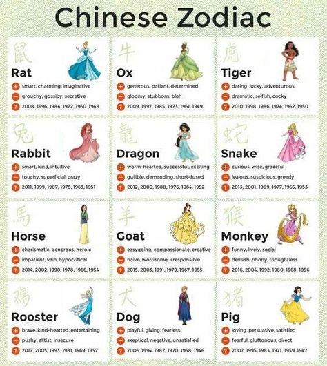 Ancient Zodiac, Chinese Numerology, Chinese Zodiac Rat, Zodiac Personality Traits, Zodiac Meanings, Aquarius Life, Aries Astrology, Zodiac Years, Numerology Life Path