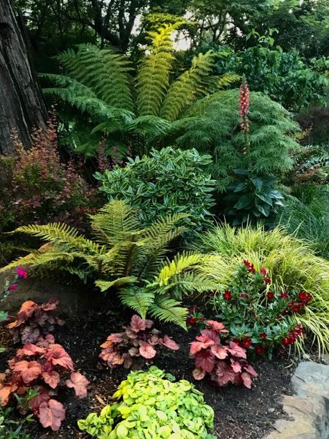 Washington Landscaping Ideas, Pnw Garden Landscapes, Pnw Landscaping Ideas, Pnw Landscape, Pnw Gardening, Pnw Garden, Pacific Northwest Garden, Northwest Garden, Planting Plan