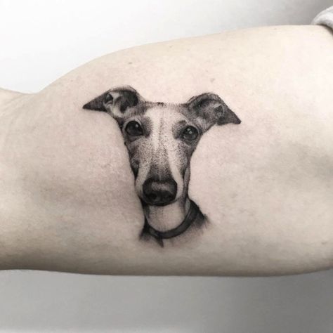 70 fotos de tatuagens em micro realismo - Blog Tattoo2me Breeze Tattoo, Greyhound Tattoo Ideas, Dog Cat Tattoo, Rio Tattoo, Greyhound Tattoo, Tattoos Dainty, Tattoos 2023, Mini Tats, Tattoos Tiny