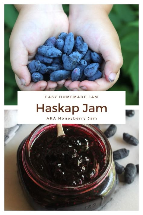 Homemade Haskap Jam (Honeyberry Jam) ~ Honeyberries are tasty fruits that come from a perennial plant in the honeysuckle family.  They taste like a cross between blueberries and grapes, and make a lovely sweet/tart jam. Honeyberry Jam, Haskap Jam, Haskap Berry, Honey Berry, Jam Maker, Canning Jam Recipes, Jam Canning, Easy Canning, Canning Kitchen