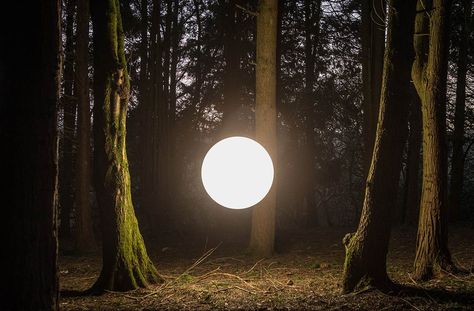 Light Orb Aesthetic, Ball Of Light Magic, Spiritual Light Images, Glowing Orb Aesthetic, Orbs Of Light, Light And Dark Aesthetic, Orb Aesthetic, Spiritual Forest, Orb Of Light