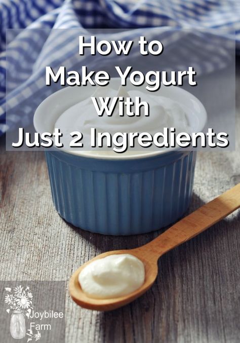 How to make yogurt at home with just 2 ingredients and no special equipment! #homesteading #homesteadingkitchen #yogurtrecipe Homemade Yogurt Recipes, Diy Yogurt, Make Your Own Yogurt, Yoghurt Recipe, Make Greek Yogurt, Farm Diy, Coconut Milk Yogurt, Homemade Greek Yogurt, Making Yogurt