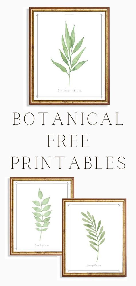 Plant Pictures Printable, Free Greenery Printables, Printable Plant Wall Art, Plant Prints Wall Art Free, Plant Wall Art Printable, Landscape Free Printables, Flower Picture Printable, Prints For Gallery Wall, Free Printable Farmhouse Wall Art