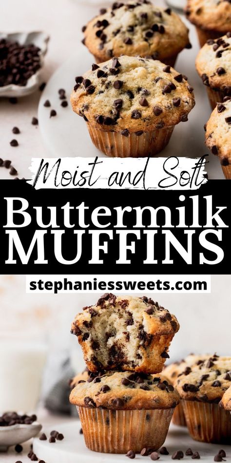 These fluffy chocolate chip buttermilk muffins are easy to make and loaded with mini chocolate chips. The buttermilk, sour cream, and melted butter make these muffins extra soft. Baked Goods With Buttermilk, Healthy Buttermilk Muffins, Sour Milk Muffins, Sour Cream Chocolate Chip Muffins, Buttermilk Chocolate Chip Cookies, Buttermilk Chocolate Chip Muffins, Baking Recipes With Buttermilk, Chocolate Chip Muffins With Buttermilk, Buttermilk Muffin Recipes