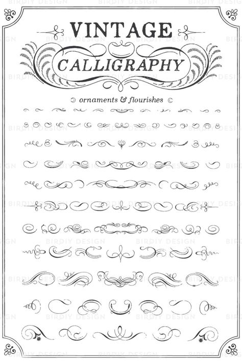 Filagree Drawings, Lettering Layout, Camp Projects, Vintage Calligraphy, Flourish Calligraphy, Boho Clipart, Whiskey Bottles, Calligraphy Fonts Alphabet, Chalk Design