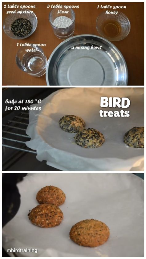 Bird Treats Diy, Homemade Bird Toys Parrots, How To Take Care Of Parakeets, Bird Treats Homemade, Diy Parakeet Toys, Diy Bird Toys Parakeets, Parakeet Cage Ideas Diy, Parakeet Cage Ideas, Homemade Bird Seed