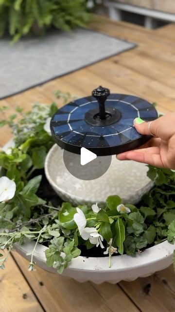 Lucy Akins | Craftberry Bush | I ordered this solar fountain pump and made this pretty planter.  I’m obsessed with how it looks and I specially love the sound of the ... | Instagram Solar Fountain Planter, Planter Water Fountain, Solar Fountains Outdoor Diy, Water Fountains Outdoor Diy, Solar Fountain Ideas, Tea In The Morning, Ginger Bread House Diy, Cool Gingerbread Houses, Concrete Fountains