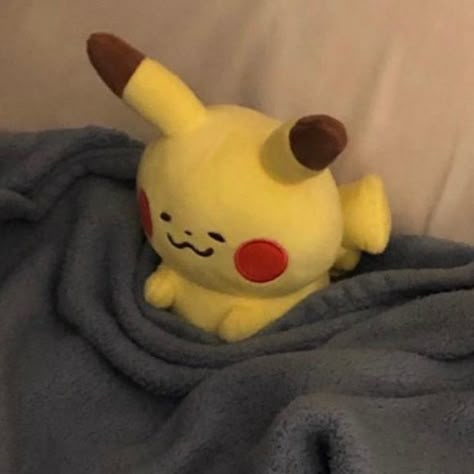 Meet your Posher, Jae Pikachu Plush, Pokemon Plush, Vacation Vibes, Kawaii Plushies, Cute Stuffed Animals, Cute Plush, Cute Pokemon, On Vacation, Reaction Pictures