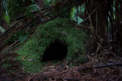 The Choice: Parable Of The Cave Warrior Cats Camp, Irish Goddess, Underground Shelter, Camping With Cats, Den Ideas, Survival Shelter, Dark Crystal, Caving, Warrior Cat