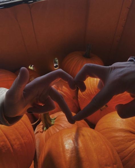 pumpkin heart private relationship Love Fall Aesthetic, Halloween Love Aesthetic, Your In Love Aesthetic, Autumn Romance Aesthetic, We Fell In Love In October Aesthetic, Fall Relationship Aesthetic, Autumn Love Aesthetic, Fall Love Aesthetic, Autumn Couple Aesthetic