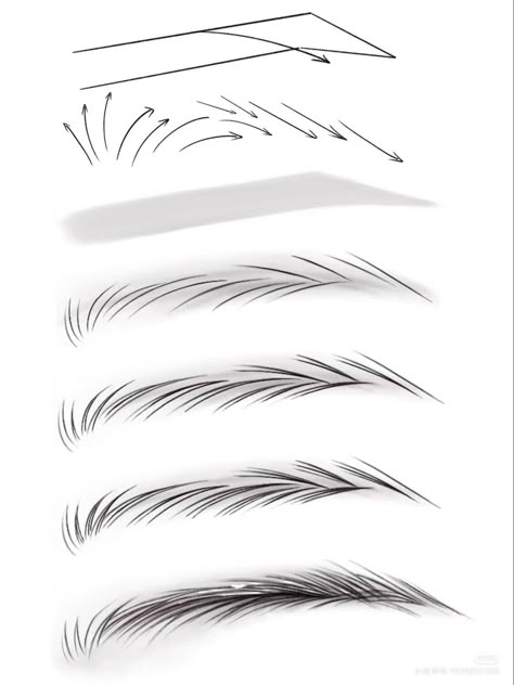 Eyebrow Tutorial Digital Art, Hair Drawing Practice, Semi Realism Hair Tutorial, How To Draw White Hair, Eye Type Shape, How To Draw Hairline, How To Draw Brows, How To Draw Eyebrows Step By Step, Manga Eyebrows