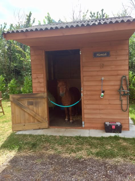 Pony Stable Ideas, Pony Enclosure, Pony Stall Ideas, Small Stable Ideas, Shetland Pony Stable, Mini Horse Barn, Miniature Horse Barn, Animal Language, Small Stable