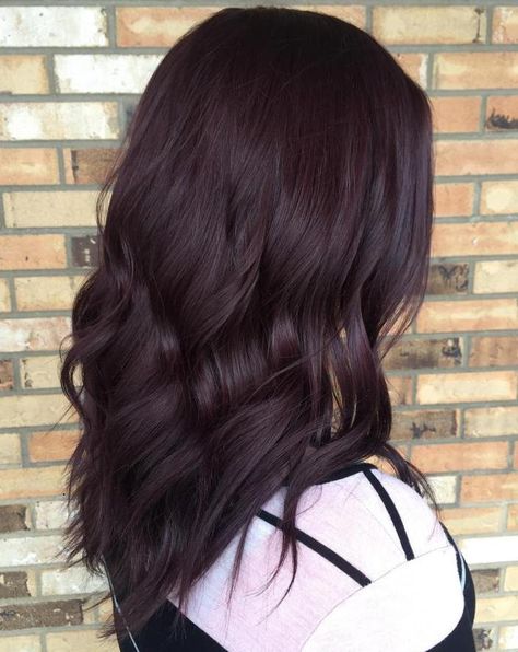 Very Dark Burgundy Brown Hair Cherry Brown Hair Color, Dark Red Hair With Brown, Pelo Color Borgoña, Burgundy Brown Hair, Cherry Brown Hair, Pelo Color Vino, Violet Shades, Dark Purple Hair, Plum Hair