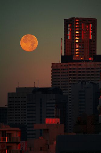 Chatroom Backgrounds, Western America, Tall Buildings, Paris Jackson, Orange Aesthetic, Red Moon, Aesthetic Photography Grunge, Mgmt, Paris Saint-germain