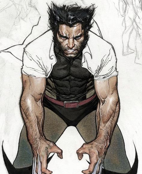 Coipel Art, Oliver Coipel, Olivier Coipel, Wolverine Comic, Wolverine Art, The Wolverine, Logan Wolverine, Wolverine Marvel, Uncanny X-men