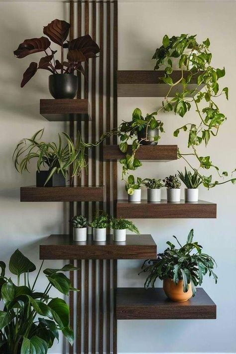 Floating Wooden Shelves, Living Room Plants Decor, Indoor Plant Display, نباتات منزلية, Living Room Plants, Plant Display, Plant Decor Indoor, House Plants Decor, Indoor Plant