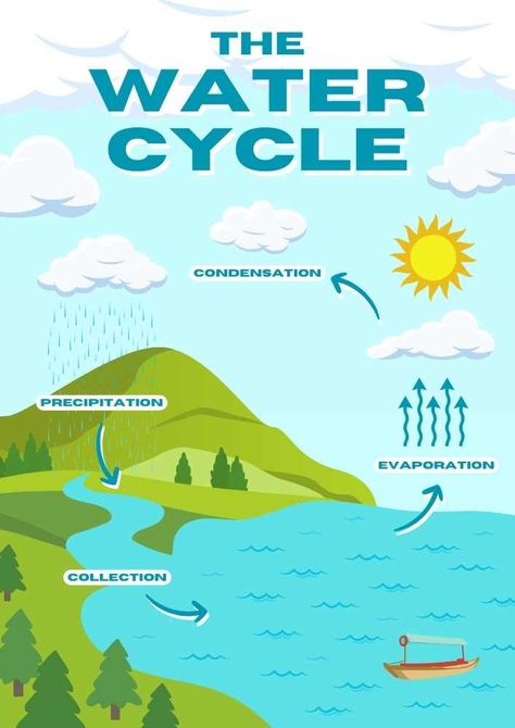 The Water Cycle English Poster Water Cycle Aesthetic, Water Cycle Craft, Water Cycle Poster, Water Cycle Experiment, Water Cycle Project, Water Cycle Diagram, Water Cycle Activities, Water Cycle Worksheet, English Poster