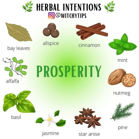 Herbs For Focus Witchcraft, Herbs For Prosperity, Money Oil Recipe, Money Altar, Magical Herbs Witchcraft, Kitchen Witchcraft, Clean Gut, Herbal Witch, Simmer Pot Recipes