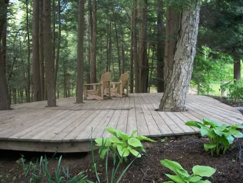 Custom Built Deck in the Trees Pnw Deck Ideas, Decks Built Around Trees, Deck Built Around Tree, Deck With Trees Through Them, Tree Deck Platform, Deck Around Tree Ideas, Deck In Woods, Rustic Decking, Deck In The Woods