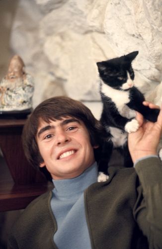 Davy Jones Monkees, Celebrities With Cats, Men With Cats, Thomas Jones, Famous Cats, Mike Nesmith, Daydream Believer, Michael Nesmith, Peter Tork