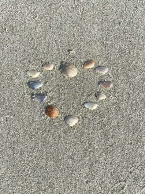 Heart made out of sea shells Shell Widget, Sema Core, Aesthetic Shells, Shells Beach, Sea Vibes Aesthetic, Abby Core Aesthetic, Shells Aesthetic, Shells On Beach, Sea Shell Aesthetic