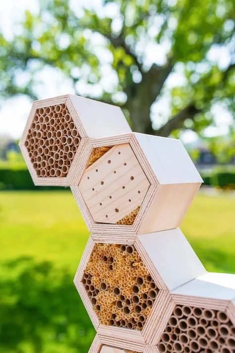 Diy Bamboo Projects, Build A Bug, Bamboo Projects, Insect Box, Diy Bamboo, Bee Houses, Diy Projects Plans, Bee Hotel, Bug Hotel