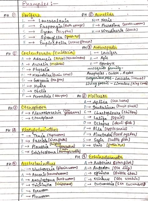 Animal Kingdom Examples, Important Notes For Neet, Animal Kingdom Mind Map, Animal Kingdom Tricks Neet, Excretory Products And Their Elimination Neet Notes, Ncert Notes For Neet, Neet Short Tricks, Animal Kingdom Biology, Animal Kingdom Chart For Neet