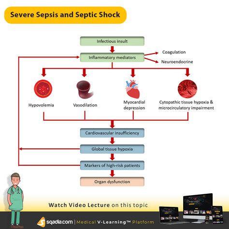 Severe Sepsis and Septic Shock is the focal point of this sqadia.com medical video lecture. This lecture extensively elaborates the mechanism of sepsis and septic shock, its risk factors, variables involved in diagnostic testing, stages and therapies, and management aspect. Also, the associated information such as cardiovascular insufficiency and global tissue hypoxia along with volume therapy and intensive insulin therapy is delivered. Accident And Emergency, Insulin Therapy, Septic Shock, Medical Mnemonics, Medical Videos, Emergency Medicine, Marketing Template, High Risk, Focal Point