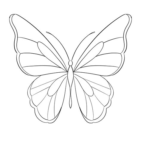 #tattoo #tattoos #inked #tattooart #tattooed #tattooideas #tattoodesign #tattooinspiration #tattoosleeve #tattooflash #inkedgirls #tattooedwomen  #InkLaughs  #TattooFails Butterfly Drawing Outline, Outline Butterfly, Butterflies Drawing, Draw Butterfly, Country Watercolor, Drawing Butterfly, Butterfly Outline, Butterfly Sketch, Butterfly Stencil