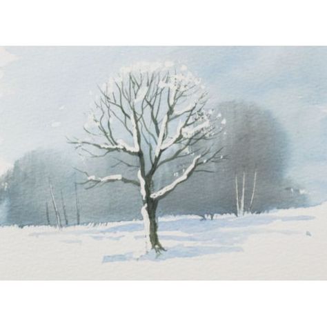 Terry Harrison shows how to paint snowy trees in watercolour Snow On Trees Painting, Snow Tree Drawing, Winter Trees Painting, Winter Tree Drawing, Winter Tree Painting, Terry Harrison, Oak Tree Drawings, Paint Snow, Plant Drawings