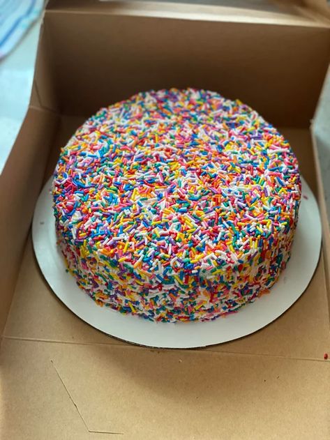 Birthday Cake Aesthetic Sprinkles, Birthday Cake Rainbow Sprinkles, Aesthetic Funfetti Cake, Sprinkle Cakes Birthday, All Sprinkle Cake, Rainbow Sprinkles Aesthetic, Rainbow Cake Sprinkles, Cake Covered In Sprinkles, Sprinkle Birthday Theme