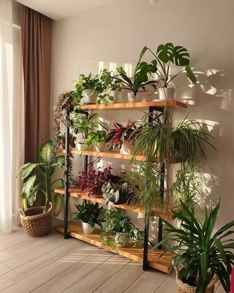 Arrangement of charming plants: Interior Design Ideas to beautify your space : dailyinterior's Blog How To Arrange Plants In Home, Plant Wall Shelves, Plants Shelves, Hanging Leaves, Wall Hanging Decorations, Indoor Plant Wall, Hanging Plant Wall, Plants Wall, Ivy Leaves