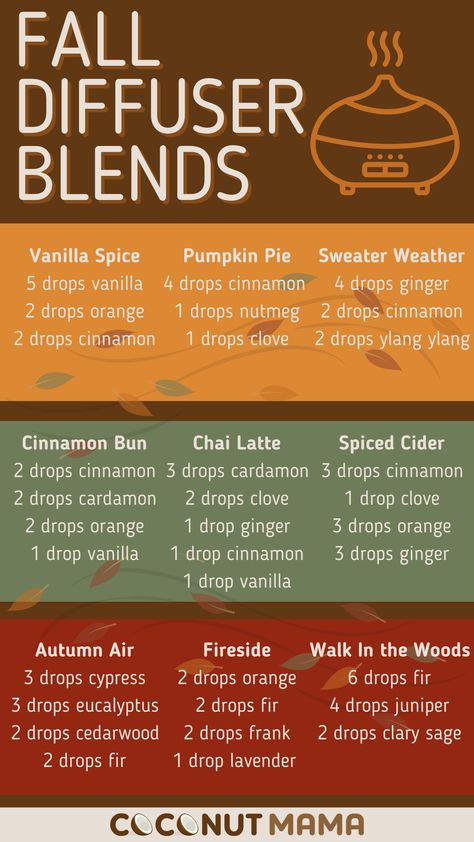 Doterra Pumpkin Spice Blend, Fall Blends For Diffuser, Chai Diffuser Blend, Get Ready For Autumn, Pumpkin Diffuser Blend, Fall Diffuser Recipes, Pumpkin Spice Diffuser Blend, Seasonal Essential Oil Blends, Pumpkin Spice Essential Oil Blend