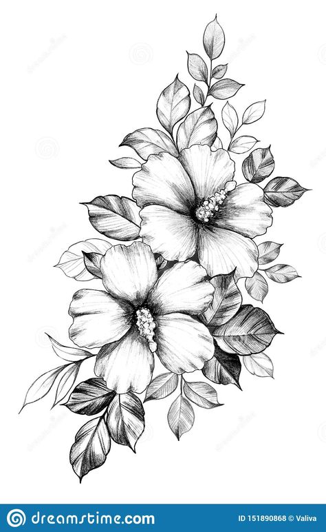 Hibiscus Flower Drawing, Hibiscus Flower Tattoos, Hibiscus Tattoo, Flower Tattoo Drawings, Flower Tattoo Shoulder, Flower Outline, Hand Drawn Floral, Floral Tattoo Design, Drawn Floral