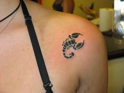 36 Minimalist Scorpio Zodiac Tattoo Ideas: Simple Scorpio Tattoos Scorpio Henna Tattoo, Tattoo Scorpio, Scorpio Tattoos, Scorpio Constellation Tattoos, Scorpion Tattoos, Scorpio Zodiac Tattoos, M Tattoos, Scorpio Tattoo, Women Tattoos