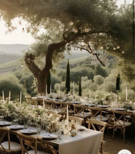 Tuscan Tablescape, Olive Branch Decor, Tuscan Wedding Theme, Tuscany Wedding Theme, Rustic Italian Wedding, Italian Vineyard, Wedding Farmhouse, Tuscan Inspired Wedding, Wedding Table Setting