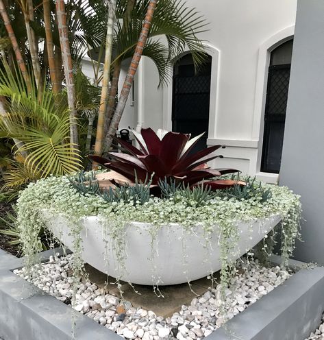 Front Yard Landscaping Design Pots & Planters, Large Garden Pots, Texas Garden, Large Outdoor Planters, Potted Plants Outdoor, Front Yard Garden Design, Backyard Renovations, Plants Outdoor, Outdoor Pots